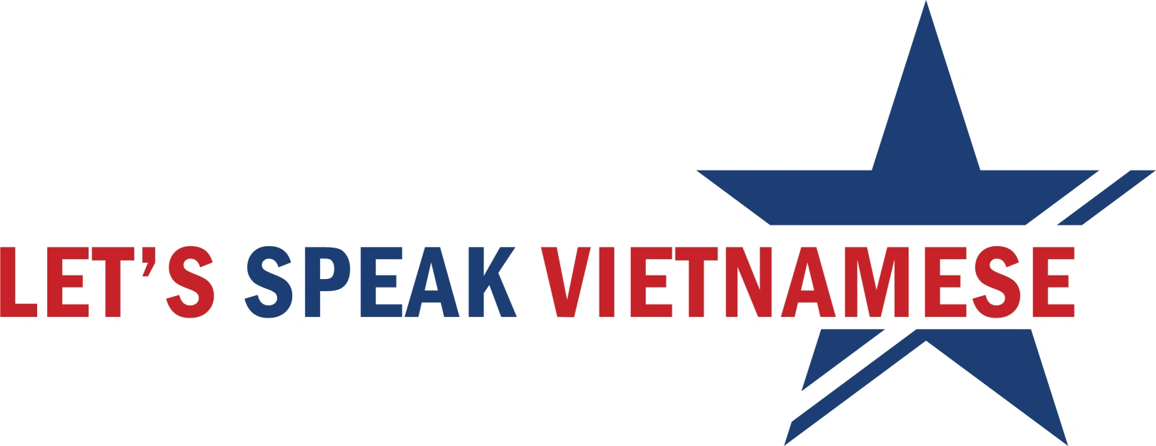 LSV logo horizontal